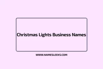 Christmas Lights Business Names